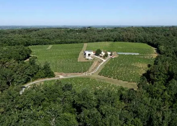 Domaine De Grand Homme לינה וארוחת בוקר